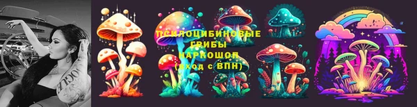 PSILOCYBIN Беломорск